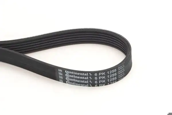 CONTINENTAL CTAM 6PK1256 | V Kayışı Hyundai i30 08-12 1.4-1.6