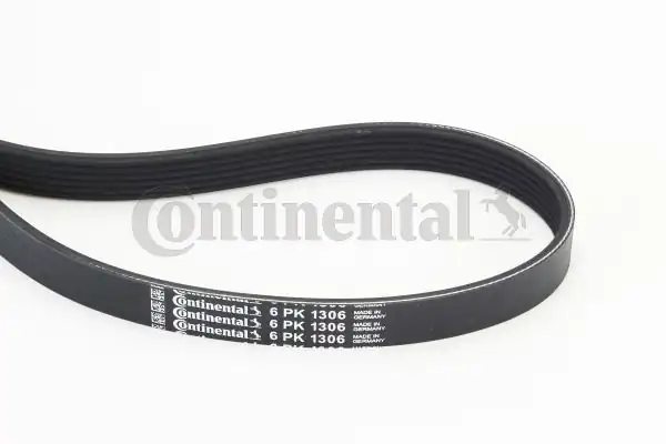 CONTINENTAL CTAM 6PK1306 | Kanallı Kayış Ford C Max 1.8 2.0 16V 07 Focus 04 Focus C Max (03 07) Mazda Nissan Volvo