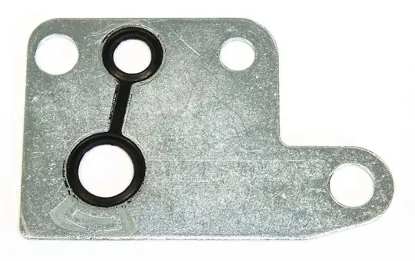 Elring 251 080 Vakum Pompa Contası Ford Transit V 184 2 4 D TDCI 01 14