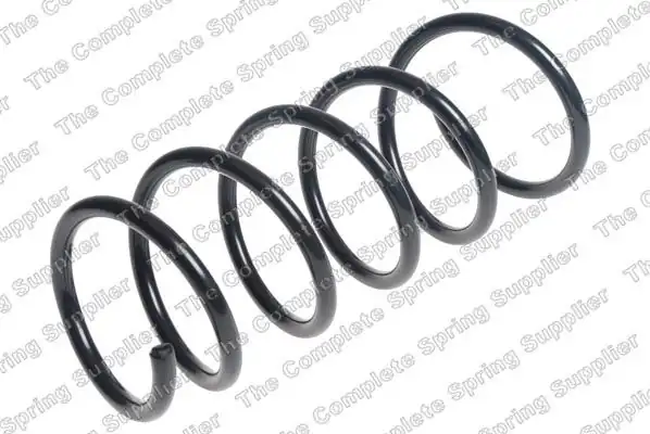 LESJÖFORS 4217004 | Helezon Yayı Arka Duster 10 18