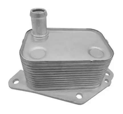 MAGNETI MARELLI 359001602340 | Yağ Soğutucu Carens III 1.6