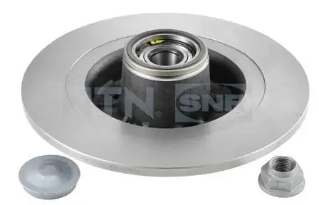 Snr Kf155100u Arka Fren Diski Rulmanlı Renault Clio III Rs 2 0 16v F4r 5 Bijon