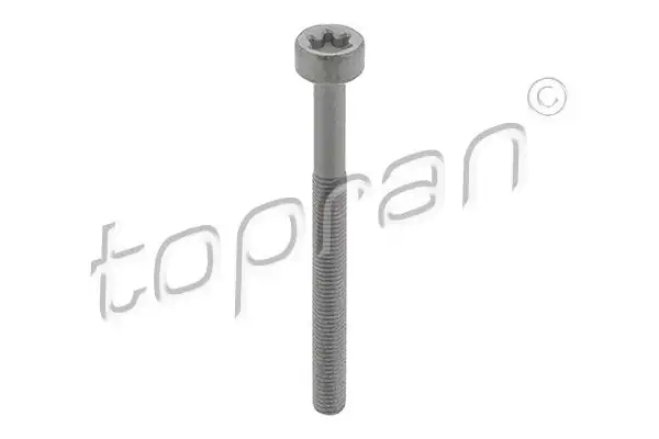 TOPRAN 410287 | Enjektör Civatası Mercedes Om651 Om654 Om656 10 Adet