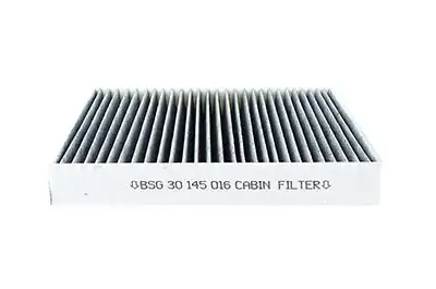 BSG 30-145-016 | Polen Filtresi Karbonlu/Av6n 16N619 Aa Focus/C-Max/Kuga/Connect Bm 11-