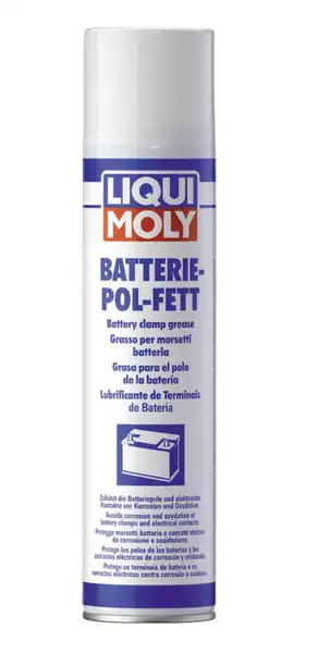 LIQUI MOLY Akü Gres Spreyi 300 ml (3141)