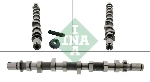 INA 428025210 | Eksantrik Mili Megane.III-Fluence-Kangoo-Clio 1.5 DCI *K9k*