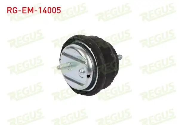 REGUS Rg Em 14005 Motor Takozu Ön Sol Sağ Bmw 3 Serisi E46 325 İ 1998 2005