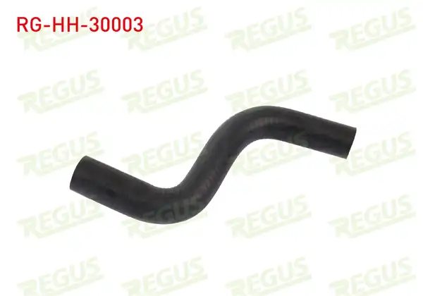 REGUS Rg Hh 30003 Kalorifer Hortumu L200 L300