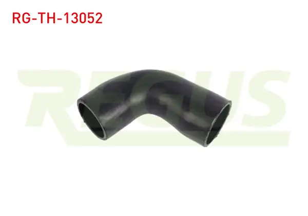 REGUS Rg Th 13052 Turbo Hortumu Alt Audi A6 4b C5 1 9 TDI 2001 2005