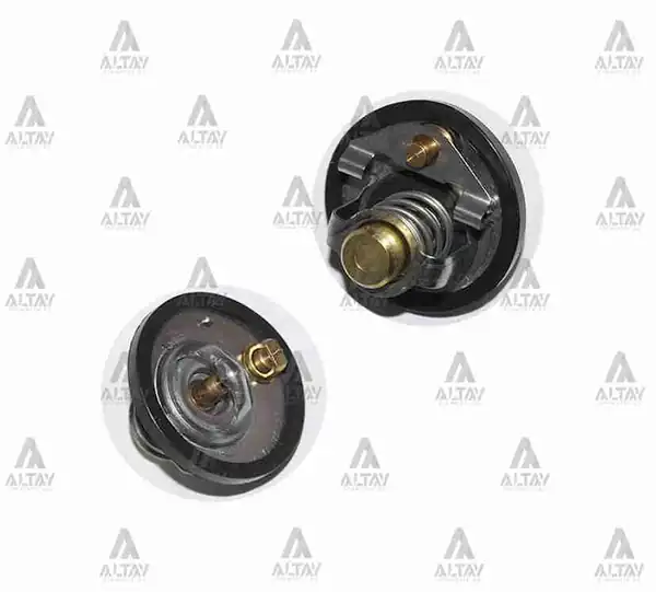 MAHER 10277 | Termostat Besta E 2200 By Passli 88 C Lastik Contalı