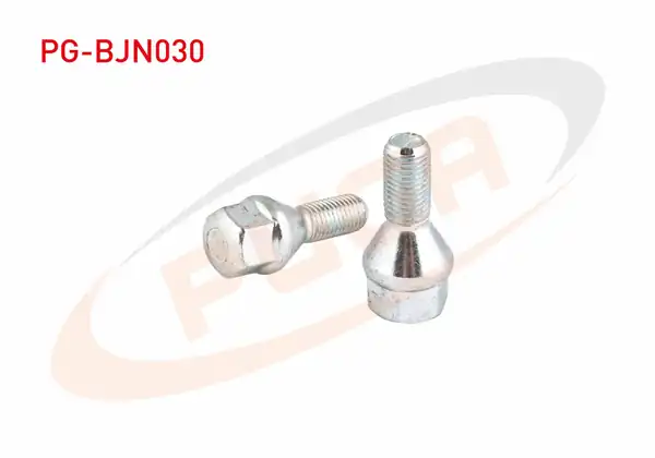 PUGA PG-BJN030 | Bijon Cıvatası Beyaz-Cınko Renault R9 / 11 / 19 / 21 Aa.19 | 10 Adet