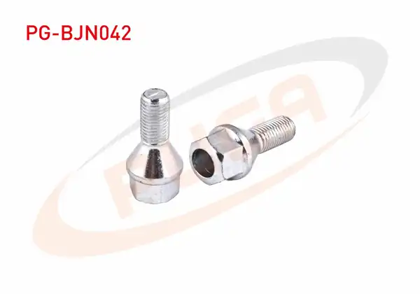 PUGA Pg Bjn042 Bijon Civatası Delikli Tip Renault Megane Clio Kangoo E M Aa 19 10 Adet