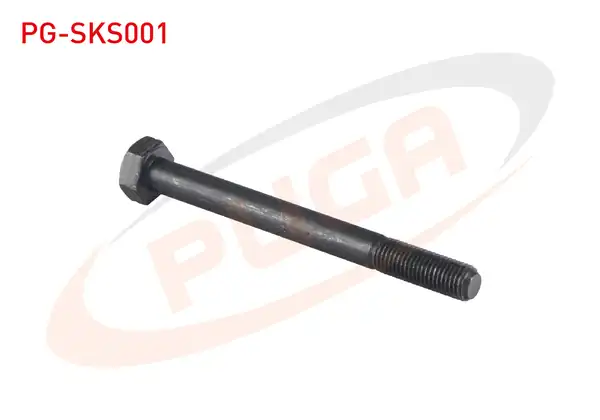 PUGA Pg Sks001 Silindir Kapak Saplaması Kısa Dks 10 Adet