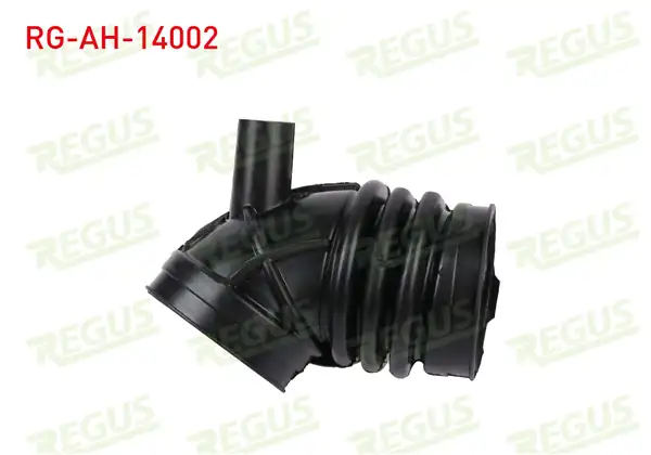 REGUS Rg Ah 14002 Hava Filtre Hortumu Bmw 3 Serisi E46 316 İ 1998 2005