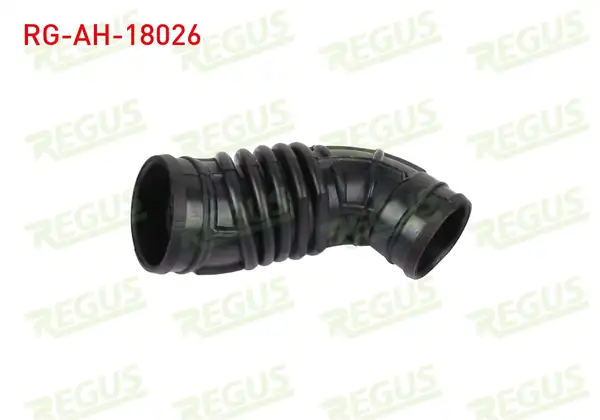 REGUS Rg Ah 18026 Hava Filtre Hortumu Egea 1 3 Mtj 2015