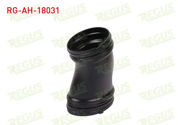 REGUS Rg Ah 18031 Hava Filtre Ara Hortumu Egea 1 3 Mtj 2015 Montaj Ürünü