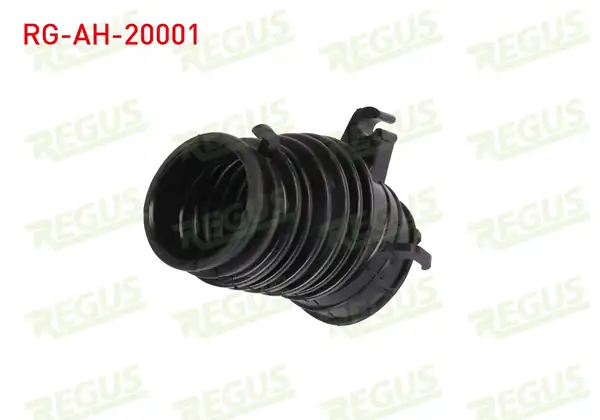 REGUS Rg Ah 20001 Hava Filtre Hortumu Honda Civic 1 6 2018