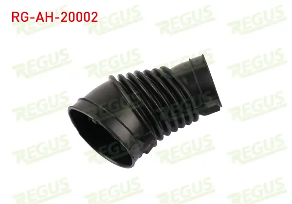 REGUS Rg Ah 20002 Hava Filtre Hortumu Cr V 1 6 İ Dtec