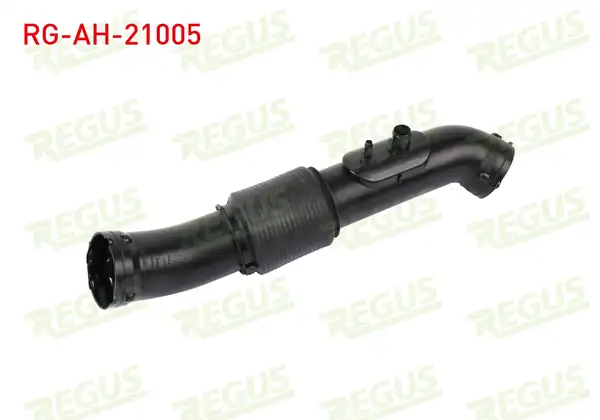 REGUS Rg Ah 21005 Hava Filtre Hortumu Tuscon 1 6