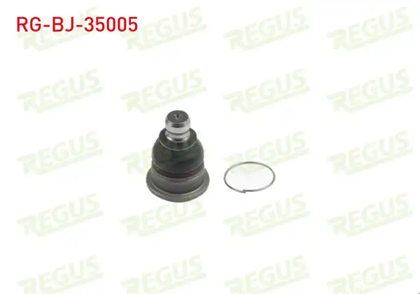 REGUS RG-BJ-35005 | Rotil Ön Sol-Sağ Renault Megane II-Scenic