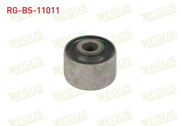 REGUS RG-BS-11011 | Denge Kol Burcu Arka Sol-Sağ Alt Alfa Romeo 147 (937) 1.6 2001-2010