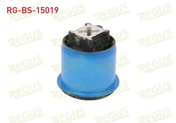REGUS RG-BS-15019 | Travers Burcu Arka Sol-Sağ Citroen C4 (Lc) 1.4 2004-2009