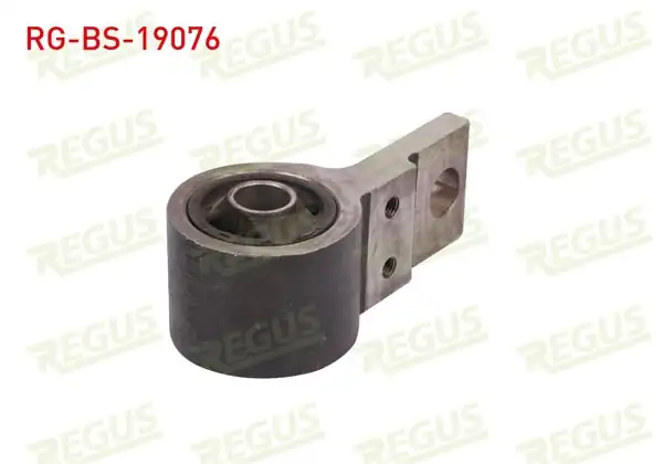 REGUS RG-BS-19076 | Salıncak Burcu Ön Sol-Sağ Alt Ford Fiesta V 1.25İ 2001-2008