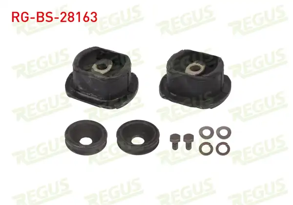 REGUS RG-BS-28163 | Travers Burcu Arka Sol-Sağ Takım Mercedes 200 (W123) 2.0 D 1977-1985