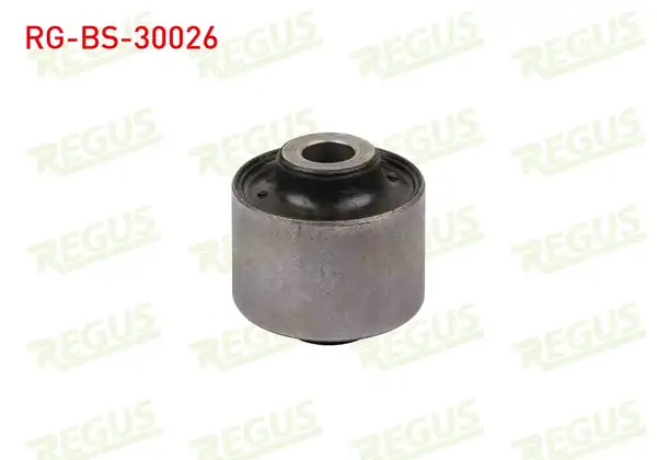 REGUS Rg Bs 30026 Denge Kolu Burcu Sol Sağ Arka Mitsubishi Pajero Serisiic V2_w 2001