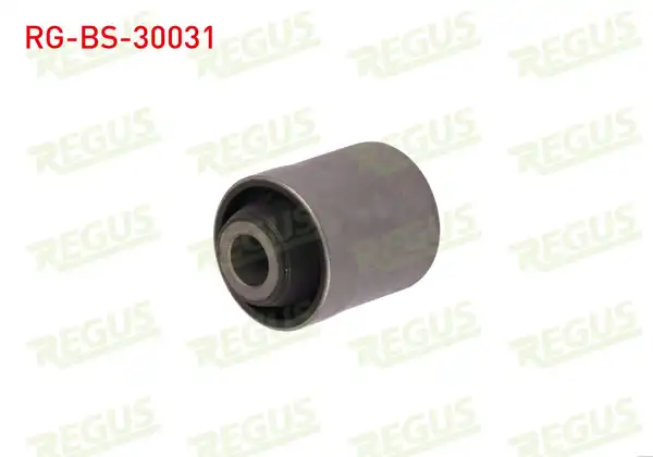 REGUS RG-BS-30031 | Salıncak Denge Kolu Burcu Üst Arka Mitsubishi Lancer VII Sportback (Cxa) 2003-2013