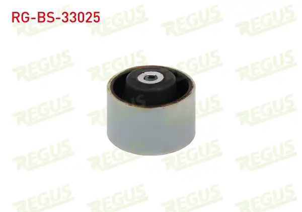 REGUS Rg Bs 33025 Motor Takozu Burcu Citroen Berlingo Mf 07 1996