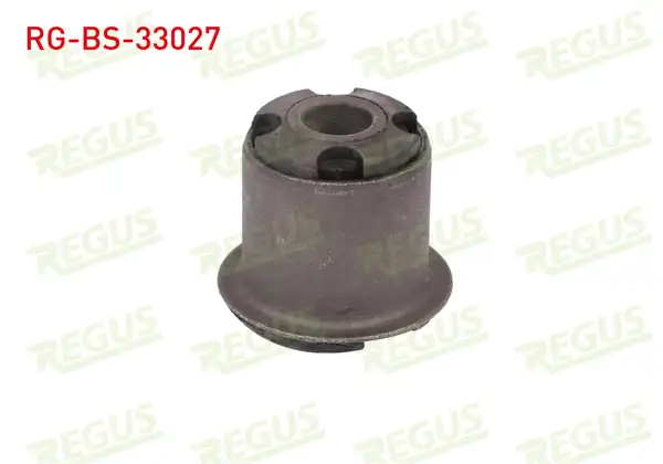 REGUS Rg Bs 33027 Salıncak Burcu Ön Sol Sağ Alt Peugeot 405 İ 15b 1 4 1987 1996