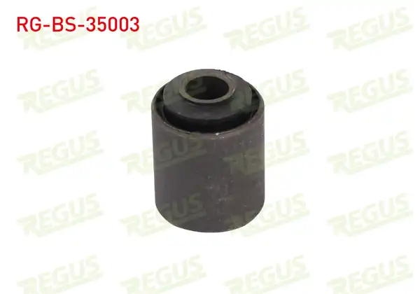 REGUS Rg Bs 35003 Salıncak Burcu Ön Sol Sağ Alt Renault R9 L42 1 4 1985 2000