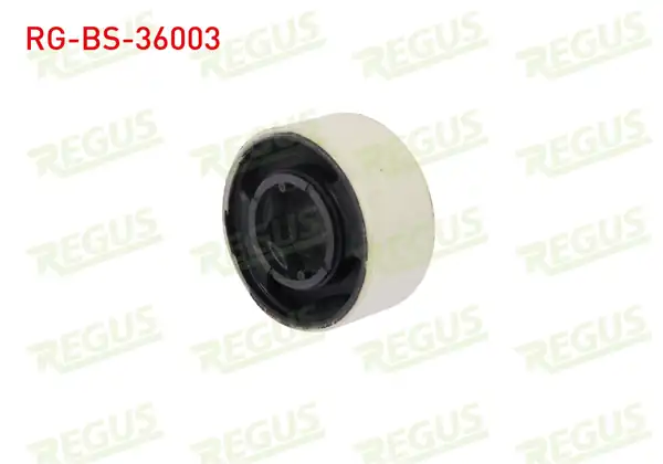 REGUS Rg Bs 36003 Salıncak Burcu Ön Sol Sağ Alt Rover 75 Rj 1 8 1999 2005