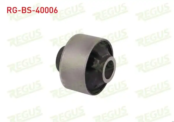 REGUS RG-BS-40006 | Denge Kol Burcu Arka Sol-Sağ Subaru Forester (Sh) 2.0 2008-2013
