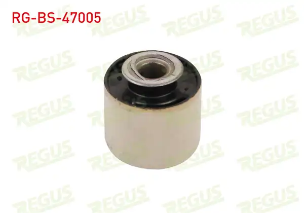 REGUS Rg Bs 47005 Denge Kol Burcu Arka Sol Sağ Dacia Duster 1 5 dCi 2010