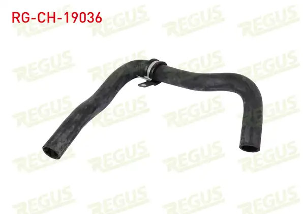 REGUS Rg Ch. 19036 Termostat Hortumu Ford Transit T15 2 5 Dı 1994 2000