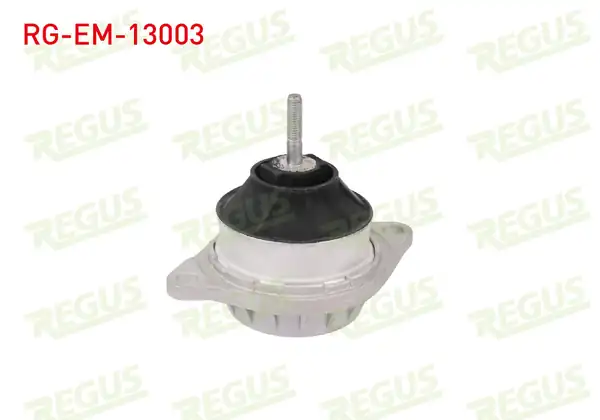 REGUS Rg Em 13003 Motor Takozu Ön Sol Sağ Audi 80 89 89q 8a B3 1 6 TD 1986 1991