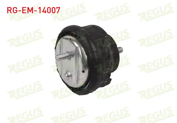 REGUS Rg Em 14007 Motor Takozu Ön Sağ Bmw 3 Serisi E46 316 İ 1998 2005