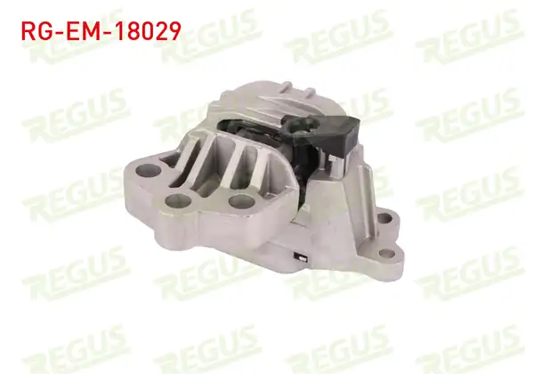 REGUS Rg Em 18029 Motor Takozu Egea 1 4