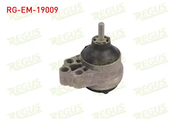 REGUS Rg Em 19009 Motor Takozu Ön Sağ Ford Focus İ Daw Dbw 1 6i 16v 1998 2004