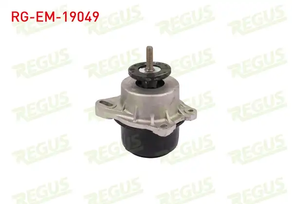 REGUS Rg Em 19049 Motor Takozu Sol Sağ Ford Transit Fa _ 2 2 TDCI 2000 2006