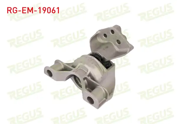 REGUS RG-EM-19061 | Motor Takozu Yağlı Ford Tourneo Courıer 2014 -