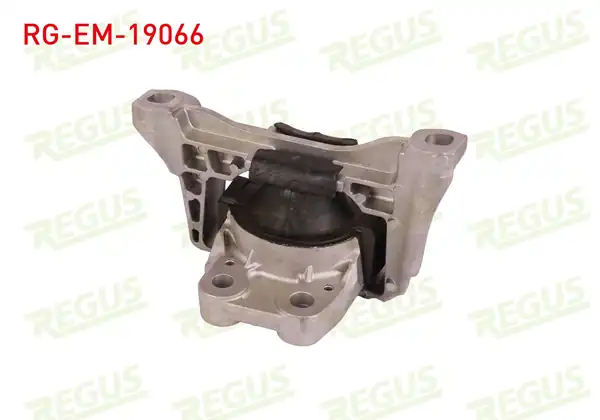 REGUS Rg Em 19066 Motor Takozu Focus III 2 0 TDCI 2010 C Max 2 0 TDCI 2007 Volvo S40 2 0d 2004