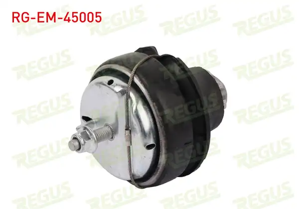 REGUS Rg Em 45005 Motor Takozu Ön Volvo S60 İ 2 0 T 2000 2010