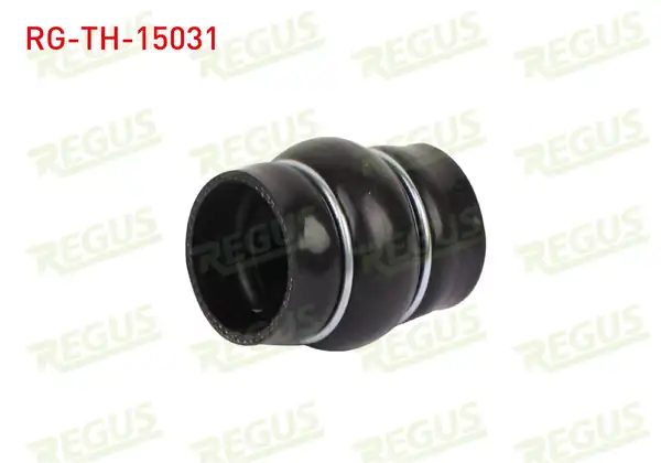 REGUS Rg Th 15031 Turbo Hortumu Citroen C2 Jm 1 6 Hdi 2003 2009