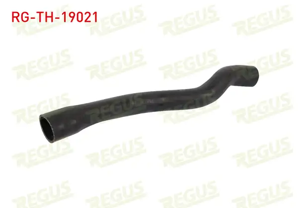 REGUS RG-TH-19021 | Turbo Hortumu Ford Focus III 1.6 TDCI 2011-2015