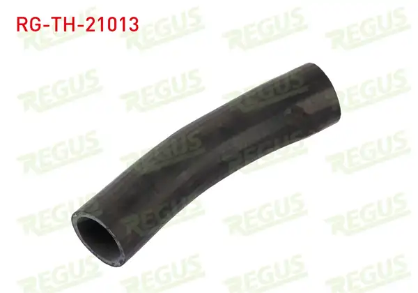 REGUS Rg Th 21013 Turbo Hortumu Çıkış H100 2 5 Tcı