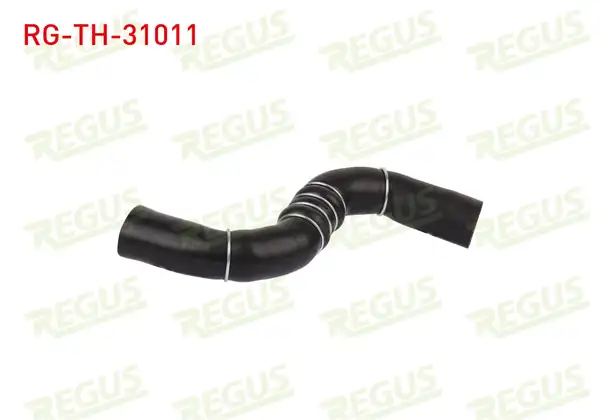 REGUS Rg Th 31011 Turbo Hortumu Nissan Qashqai J10 1 5 dCi 2007 2014