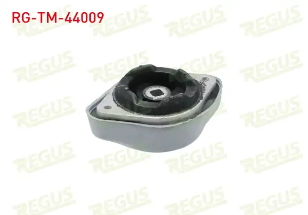 REGUS Rg Tm 44009 Şanzıman Takozu Audi A4 8e2 B6 1 6 2000 2004